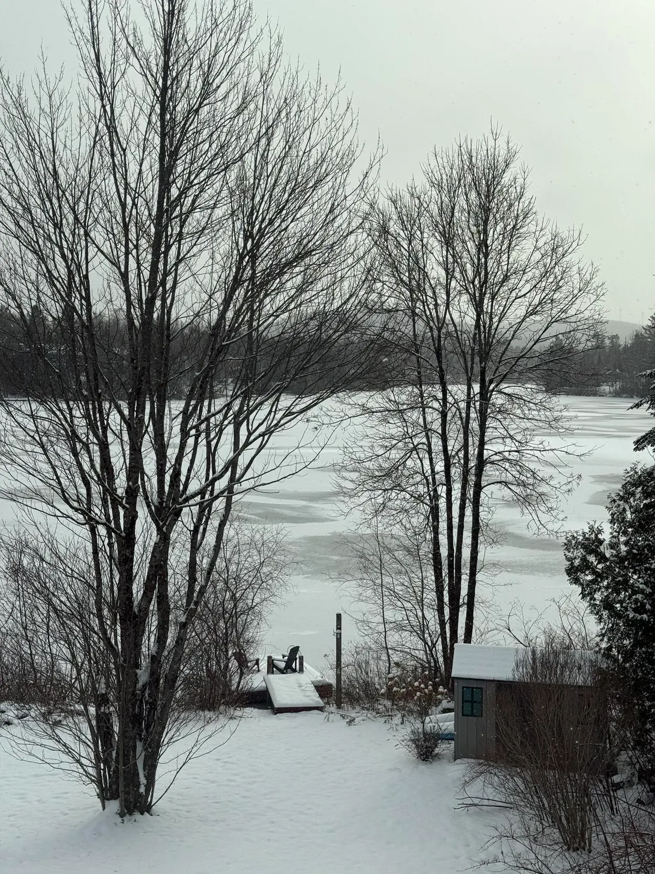 Un lac, ça ne “meurt” pas en hiver.